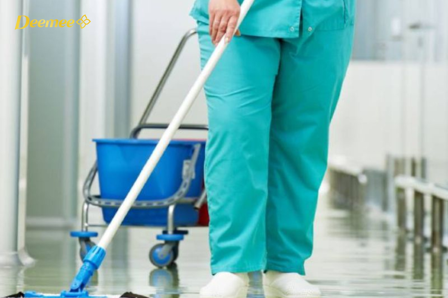 Xu hướng nước lau sàn bệnh viện đuổi côn trùng